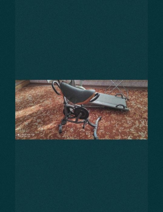 тренажёр лошадь (көкпар)