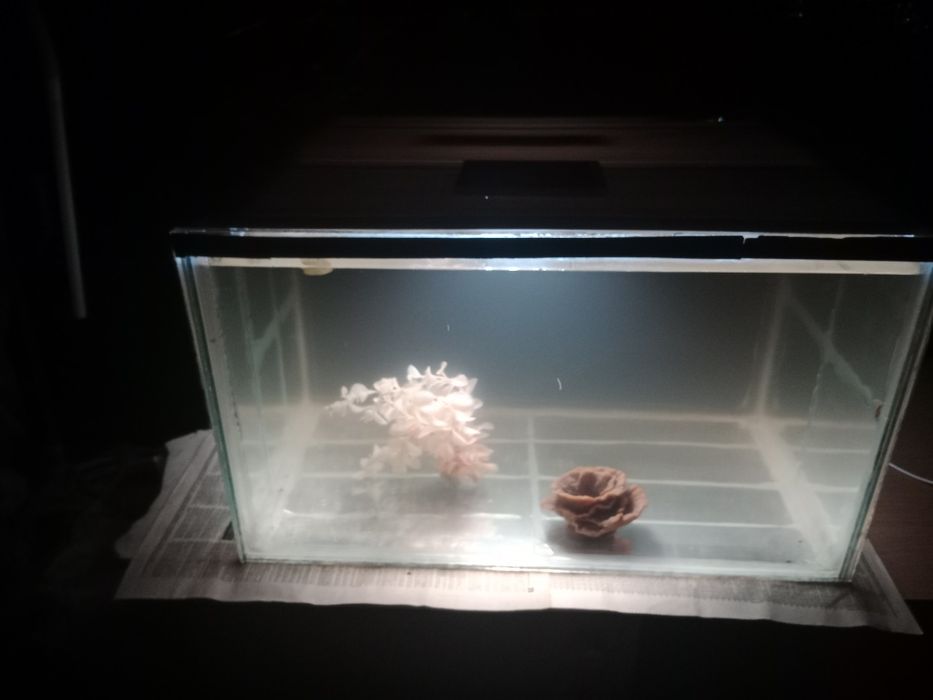 Аквариум 88л + бонусы и рыбки.