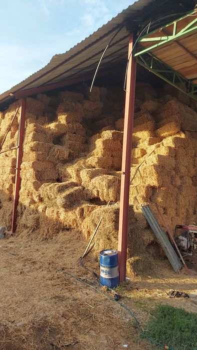 baloti de lucerna , borceag, fin, paie