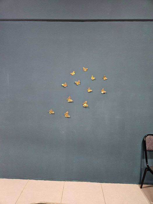 Аренда трехкомнатное помещение + холл