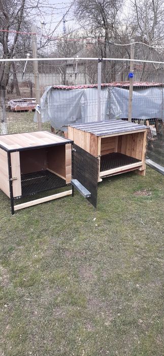 Custi de diferite dimensiuni