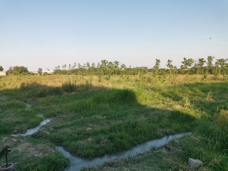 Бизнес учун катта ер участкалар Пайарик Бахрин