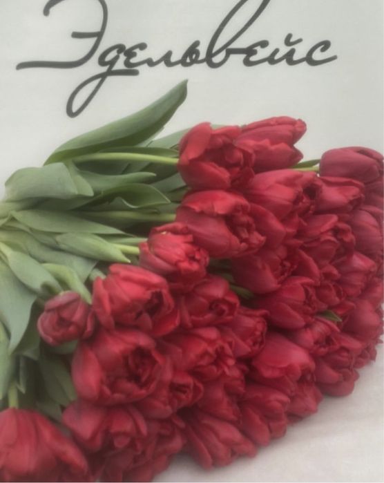 Тюльпаны на 8 марта