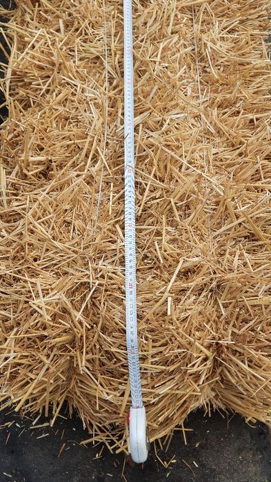 Press somon sotiladi