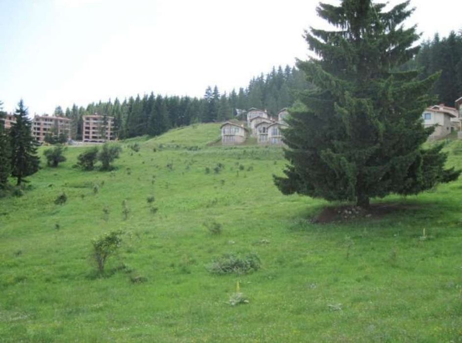 Продава се Парцел в к.к. Пампорово - 600 кв.м за 80 €/кв.м - Снимка #2