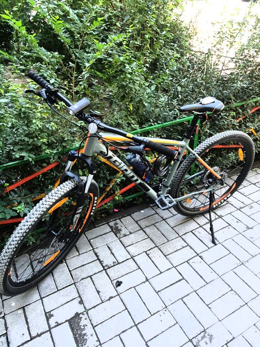 Giant talon 29er, 3 2019 L