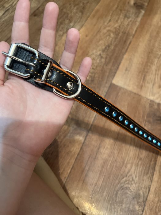 Ошейник для собак