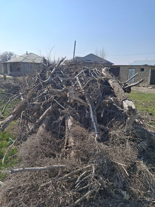 Дрова для шашлыка