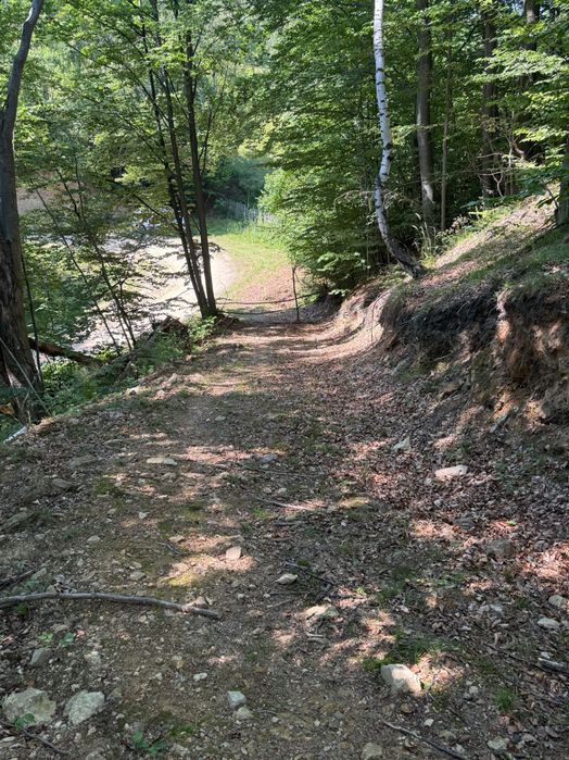 Teren extravilan in satul Tarsa, Hunedoara.