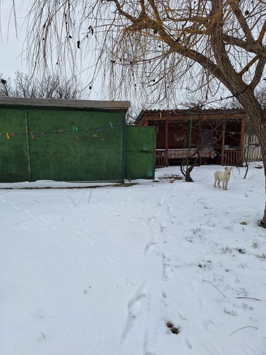 Vand casa Localitatea Horia , Constanta