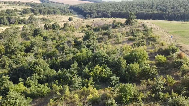 Парцел в Варна, област-с.Приселци площ 5957 цена 150000