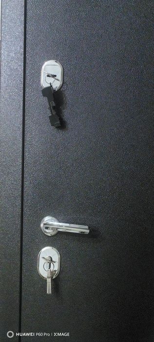 Дверь новая входная.