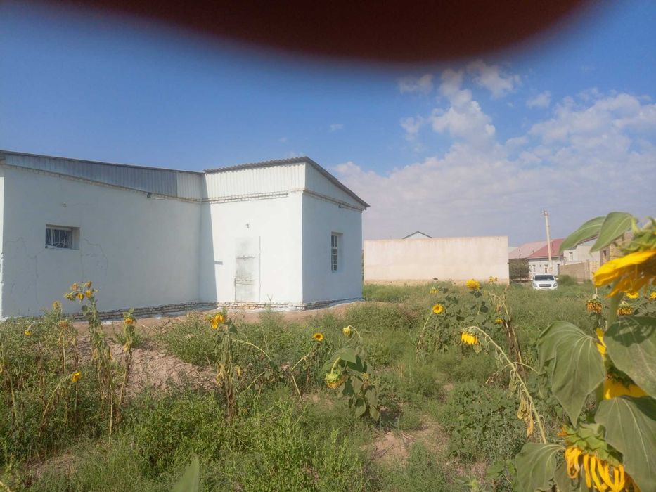 Говук кулда жой сотилади