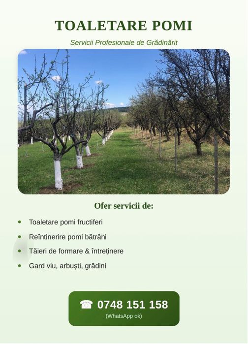 Toaletare pomi si servicii de gradinarit
