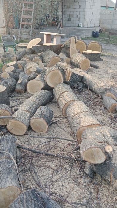 Продам дрова, Дуб.
