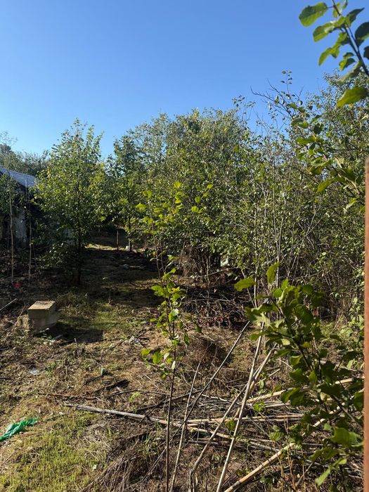 Vând teren intravilan 1000 mp Com Iepuresti, jud Giurgiu