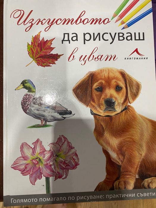 Книги за рисуване