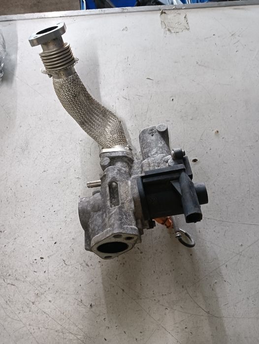 Egr Volkswagen Touareg (7La, 7L6, 7L7) [ 2002 - 2013 ] V6 Tdi (Casa, C