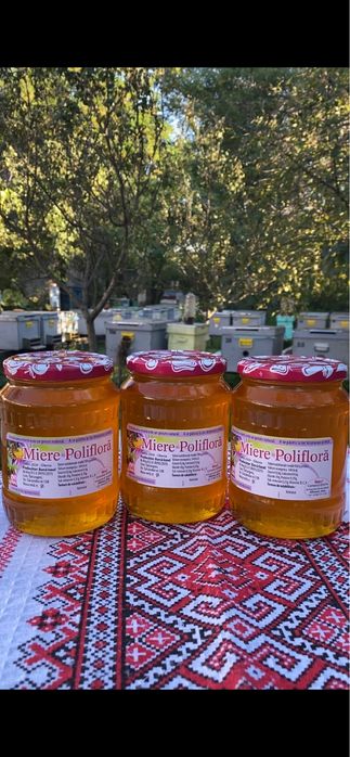 Miere de albine-direct de la producator