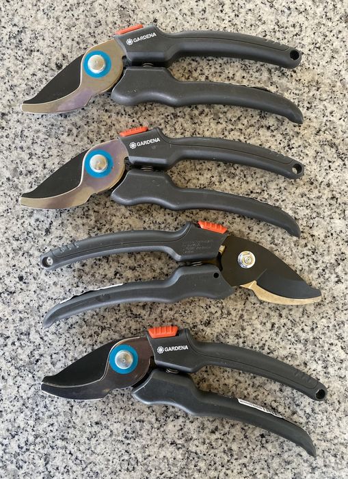 Foarfeca gradina, Gardena