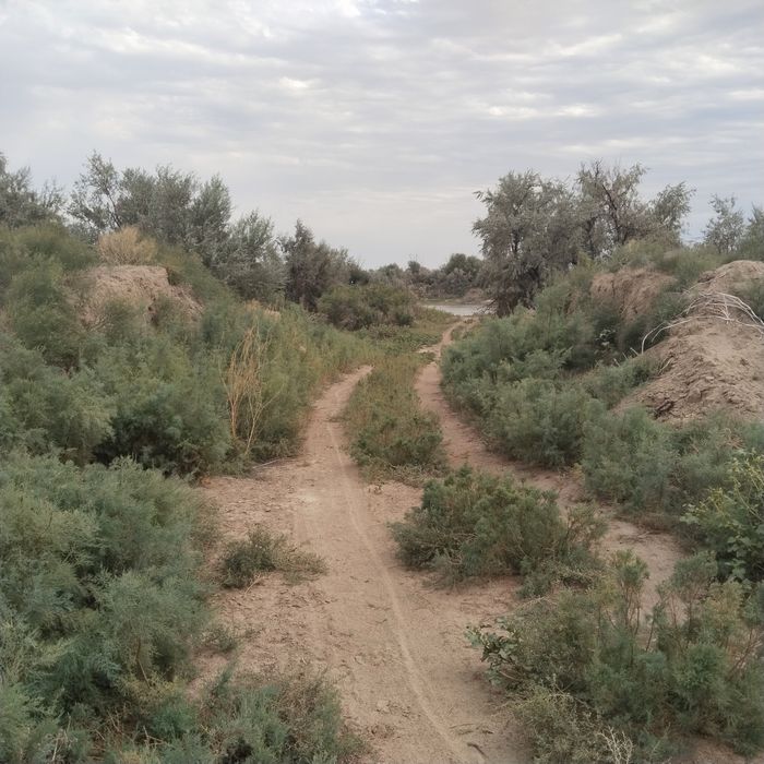 Земельный участок