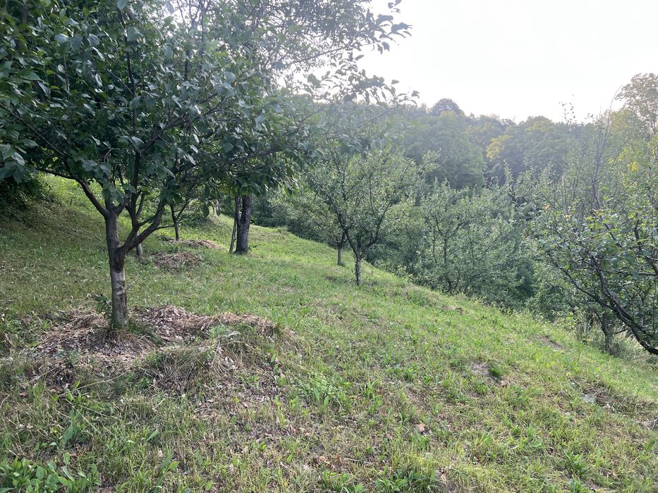 Teren intravilan de vânzare – 1.900 mp – Curtea de Argeș, cartier Nopateș