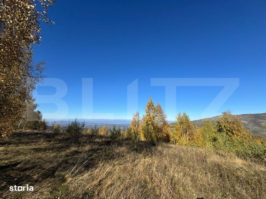 Teren extravilan de  17.183 mp in Tarsa