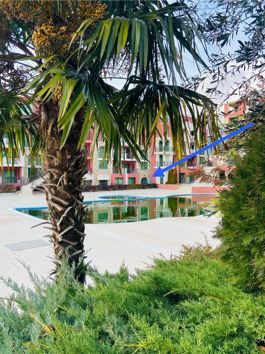 Продава се Едностаен апартамент в Свети Влас - 46 кв.м за 1055 €/кв.м - Снимка #12