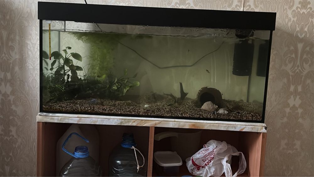 Продам аквариум 100л