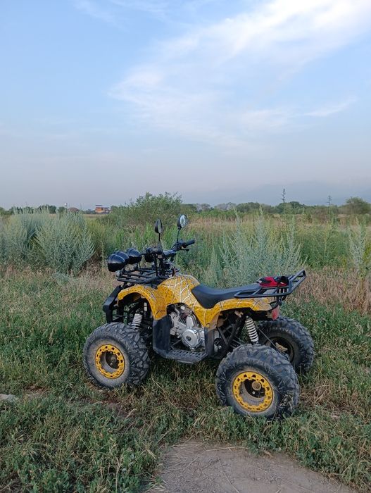 125 кубовый квадроцикл ТОРГ