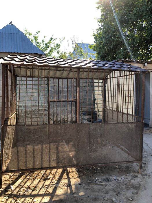 Домик собочек