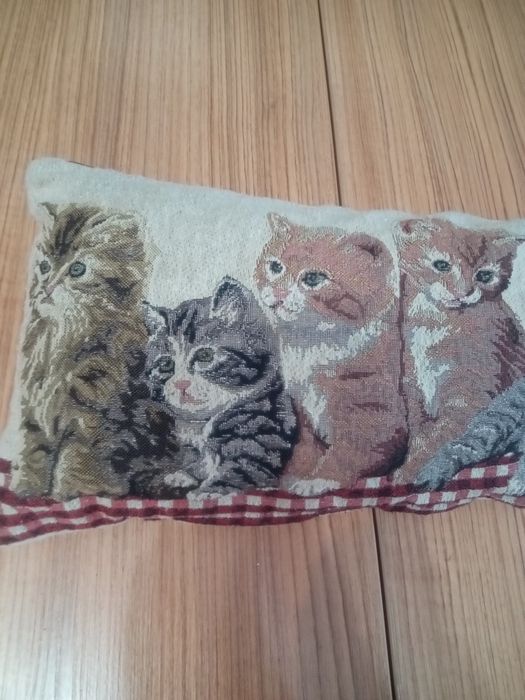 Подушки,2 шт и 1 длинная.