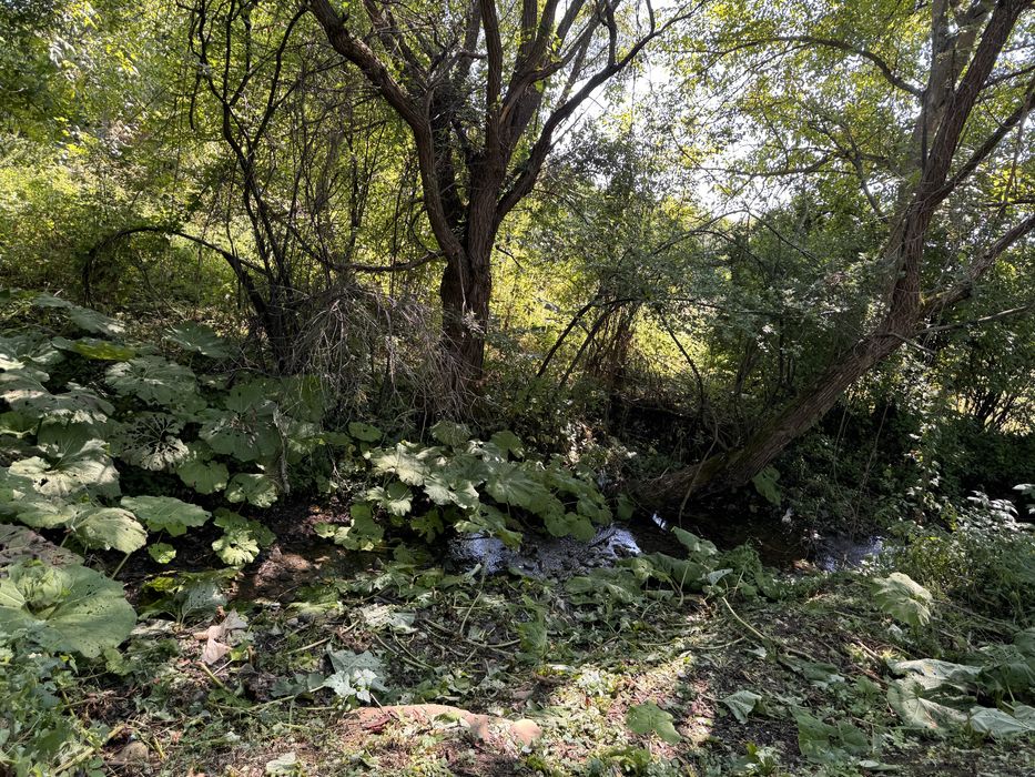 Продава се Парцел в с. Горна Козница, Област Кюстендил - 1485 кв.м за 5 €/кв.м - Снимка #17