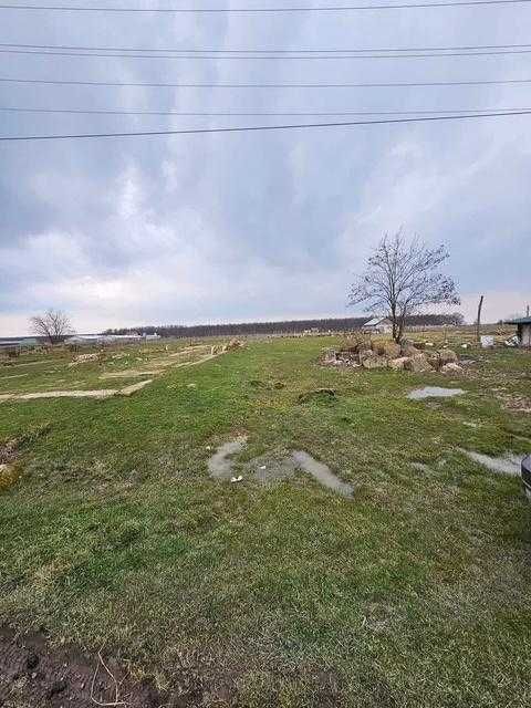 Teren intravilan Miersig