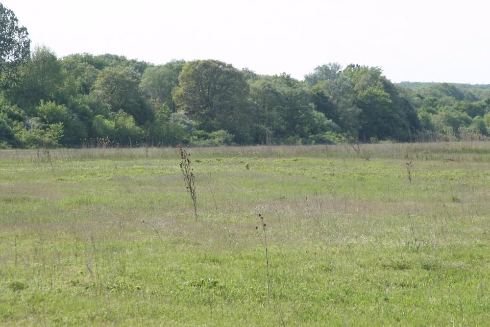 Продава се Парцел в Бяла - 1294 кв.м за 26 €/кв.м - Снимка #9