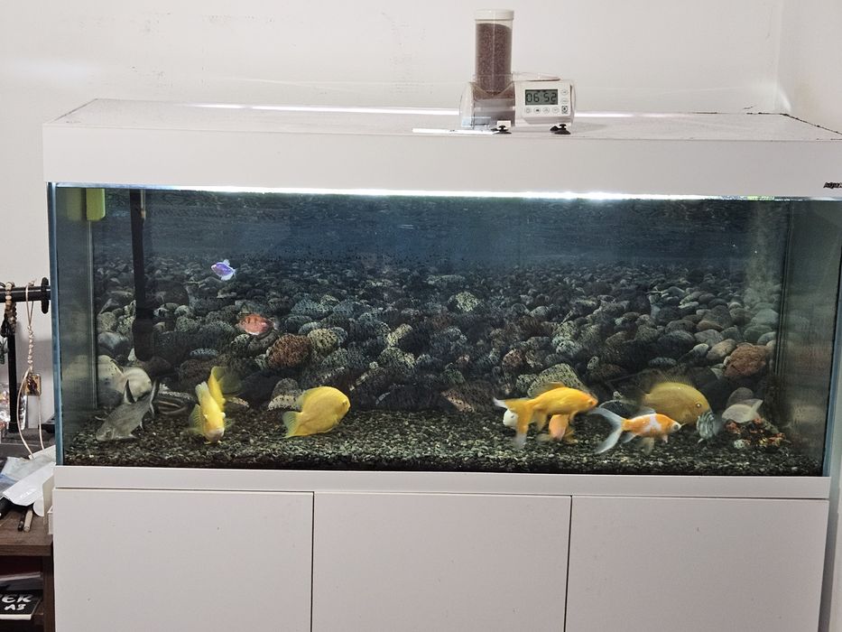 Аквариум -AKUAEL- 240 л.