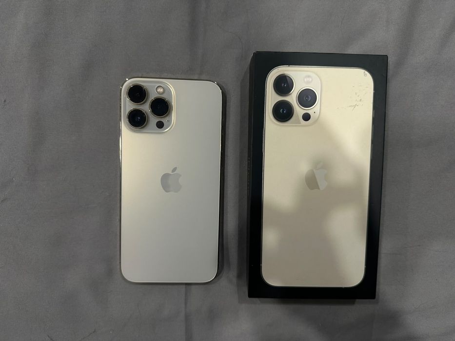 iPhone 13 Pro Max