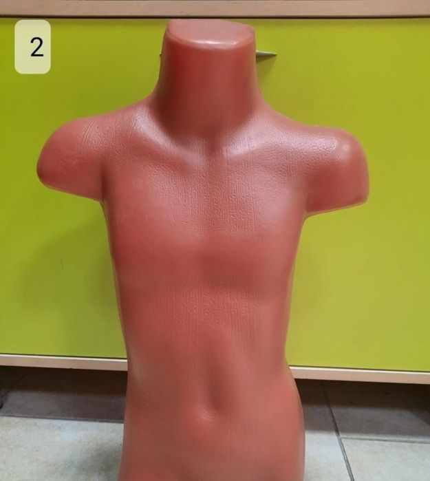 Продам   манекен - торсы