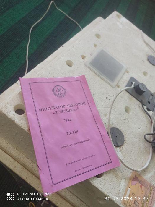инкубатор золушка 70 та тухум кетади