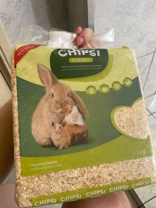Vand urgent 2 Hamsteri, cu cusca si jucarii. 250 lei in total.