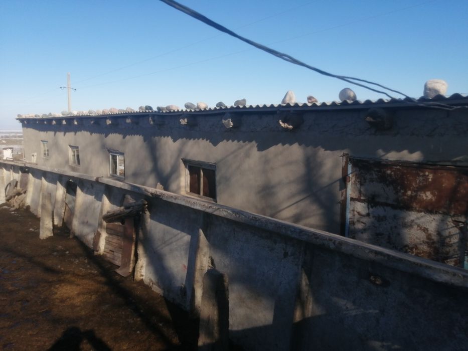 Продается Фазенда