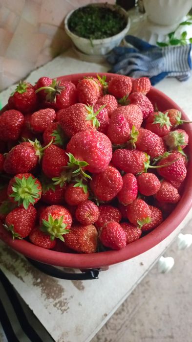 Продам продам прожам