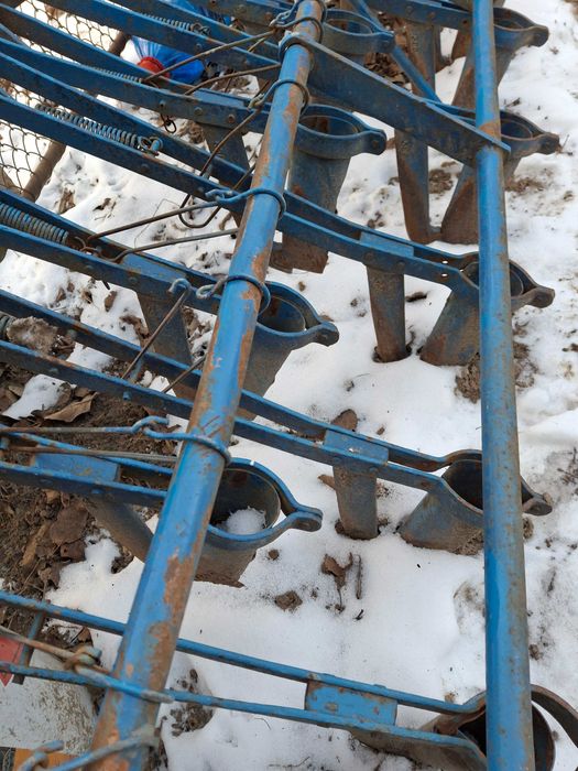 patine semanatoare paioase