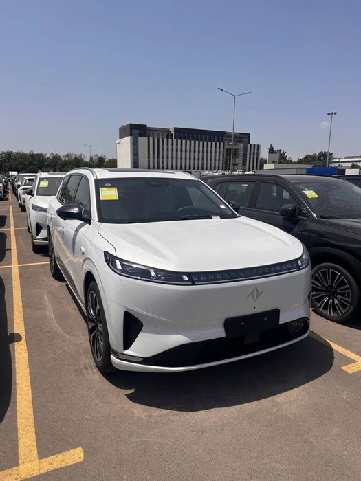 Dongfeng  008 Elektr
