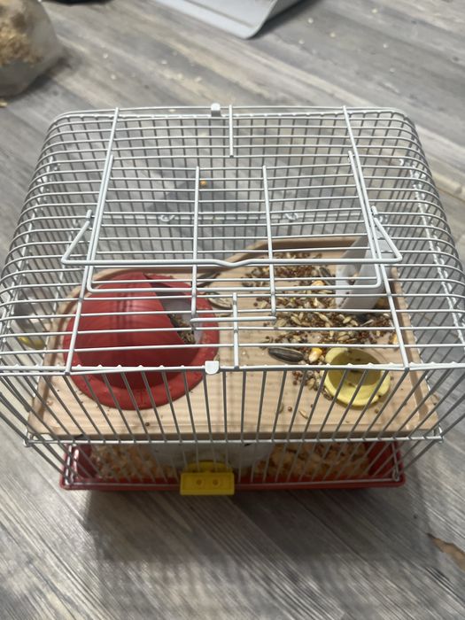 Хомяки с клеткой