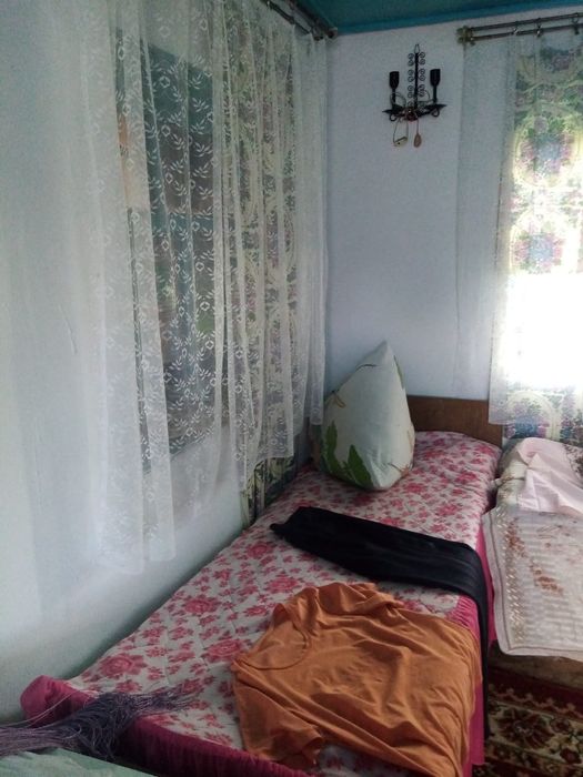 Дача в общещстве Ромашка