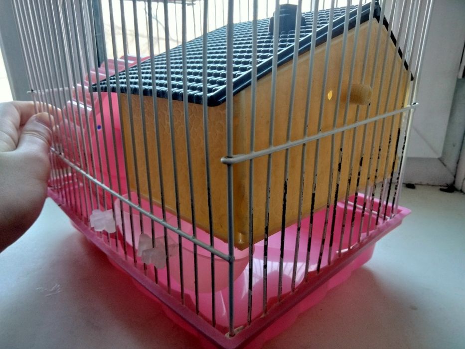 Клетка для джунгарского хомяка