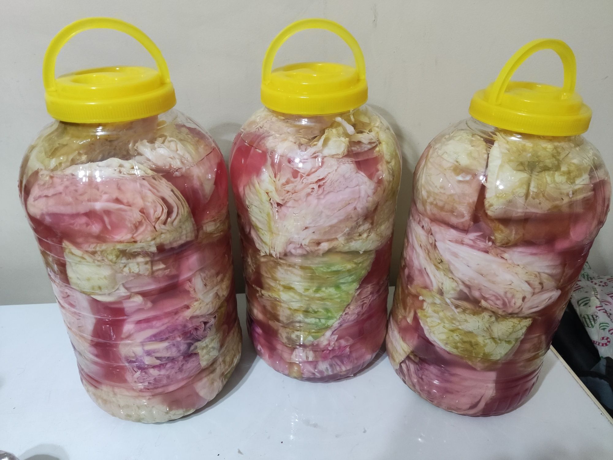 Кисело зеле сорт кьосе с. Болярци • OLX.bg