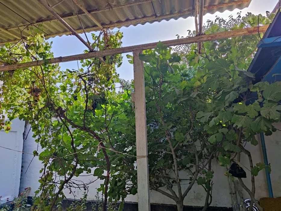 Срочно сдается дом 3 комнаты,6 соток.Сангород.