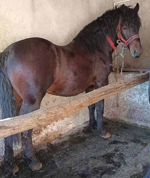 Vand sau schimb cu atv de 500 cc sau tractor